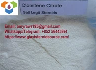Clomid Anti Estrogen Steroids u prahu Clomiphene Citrate