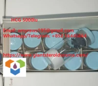 HCG 5000iu CAS:9002-61-3